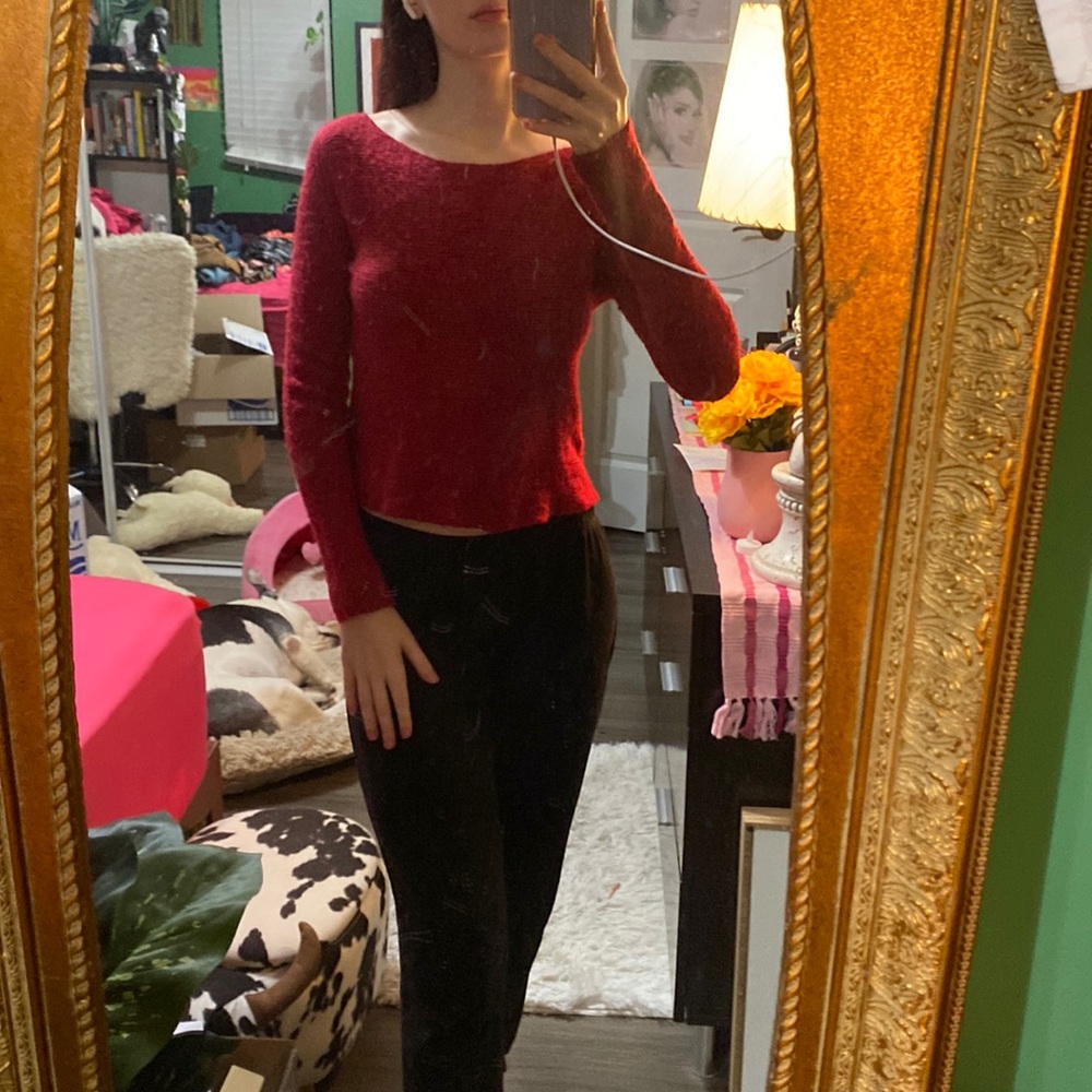 Express red sweater